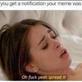 65487130_2474728912572110_9190510670842429440_n960d569965f00053