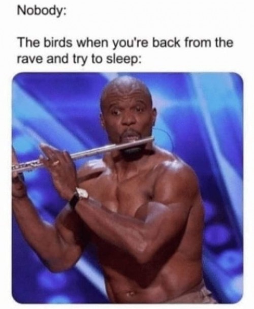 66844041_2861048300634752_378896976856481792_o1e3c0e77e7b37cee.jpg