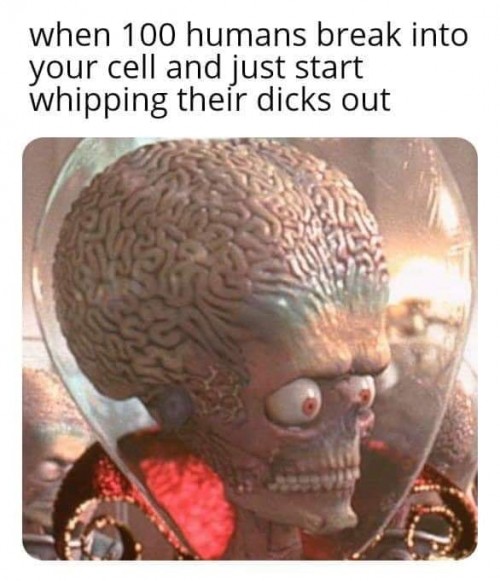 66872778_2881808261892089_5612351890168741888_n2ef43d12e906656f.jpg