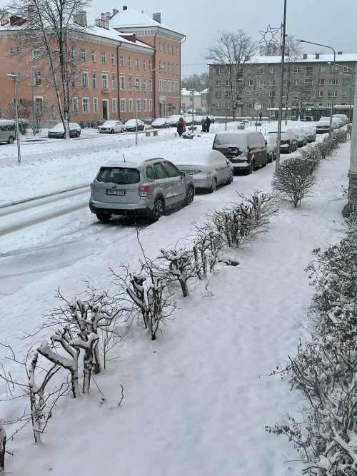 hIPs.jpg