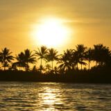 kEo7T
