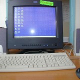 m1zTp
