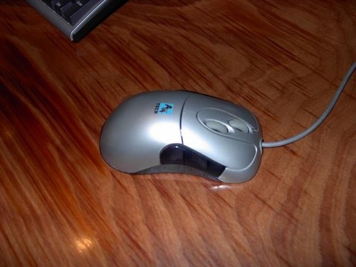 mgIUT.jpg