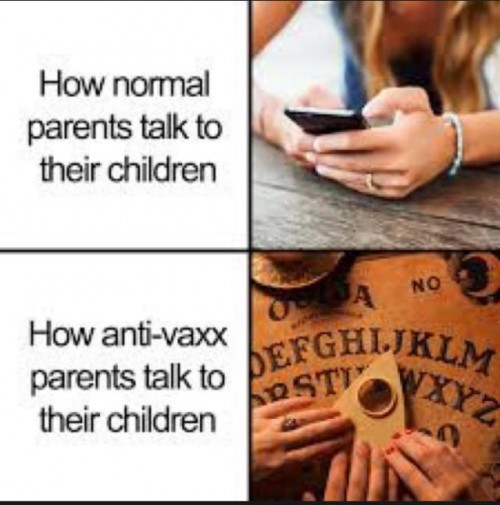 67447485_219989172318023_5553068555366301696_n44c6b0313a47a5cd.jpg